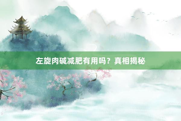 左旋肉碱减肥有用吗？真相揭秘